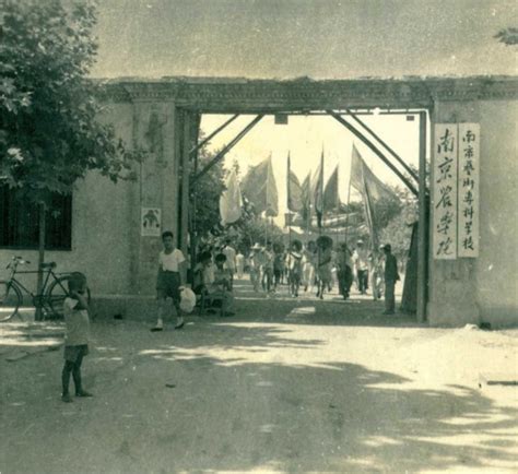 1952年